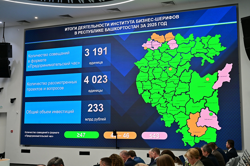 Число самозанятых в Башкортостане за 2025 год выросло более чем на 30 процентов
