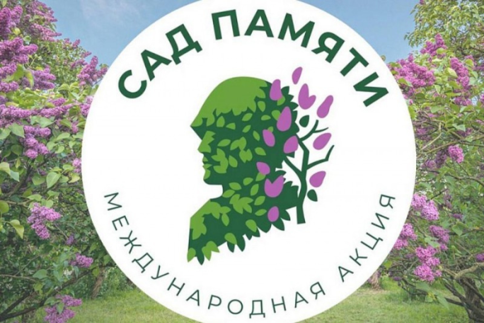 В Башкортостане в рамках акции «Сад памяти» высадят 700 тысяч новых деревьев