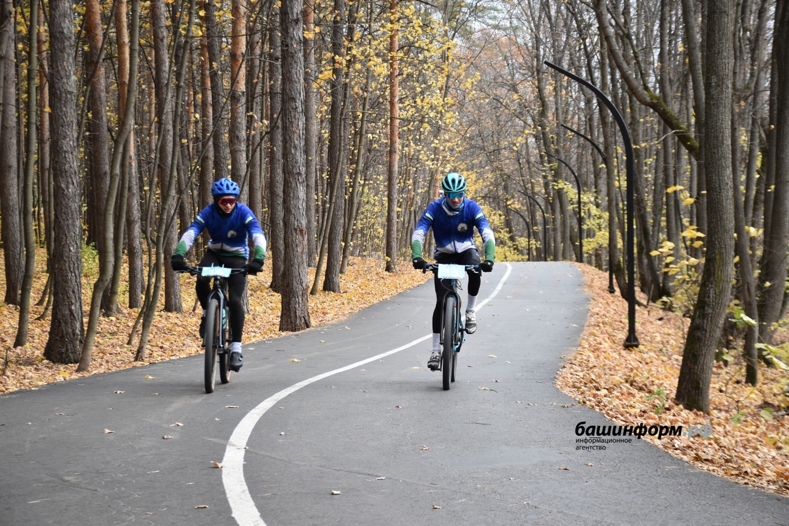 Как правильно организовать распорядок дня осенью?