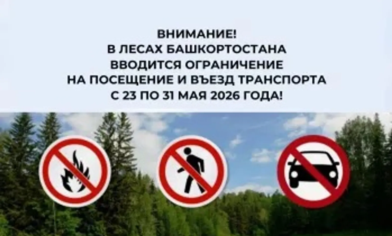 В лесах РБ вводится ограничение на посещение и въезд транспорта с 23 по 31 мая