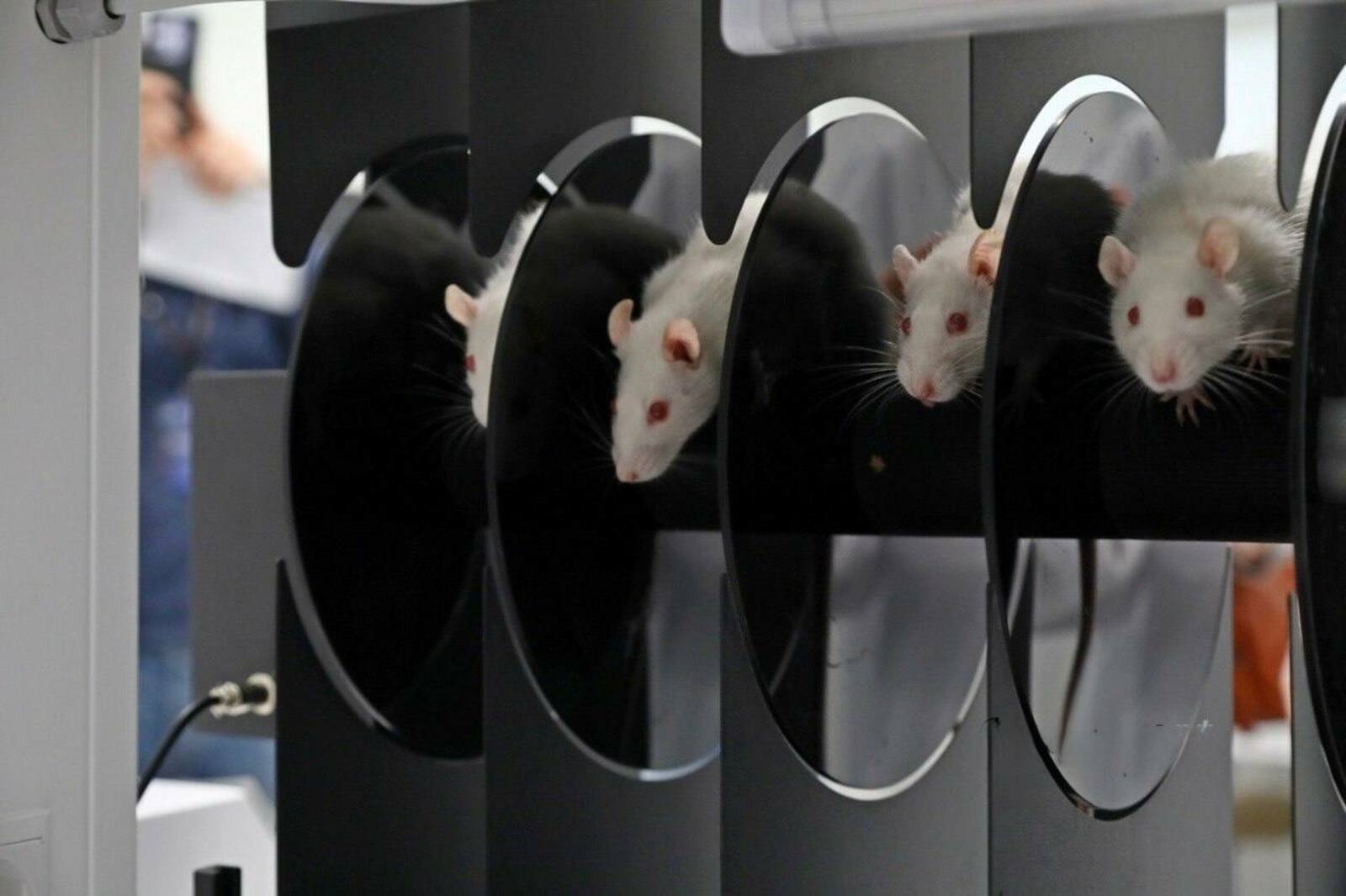 В Межвузовском кампусе перешли на новый этап исследований