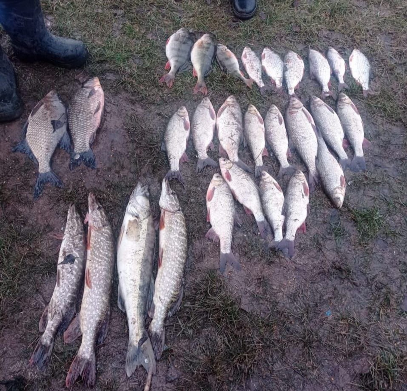 Инспекторы ДПС Башкирии задержали жителей, занимавшихся незаконной ловлей рыбы