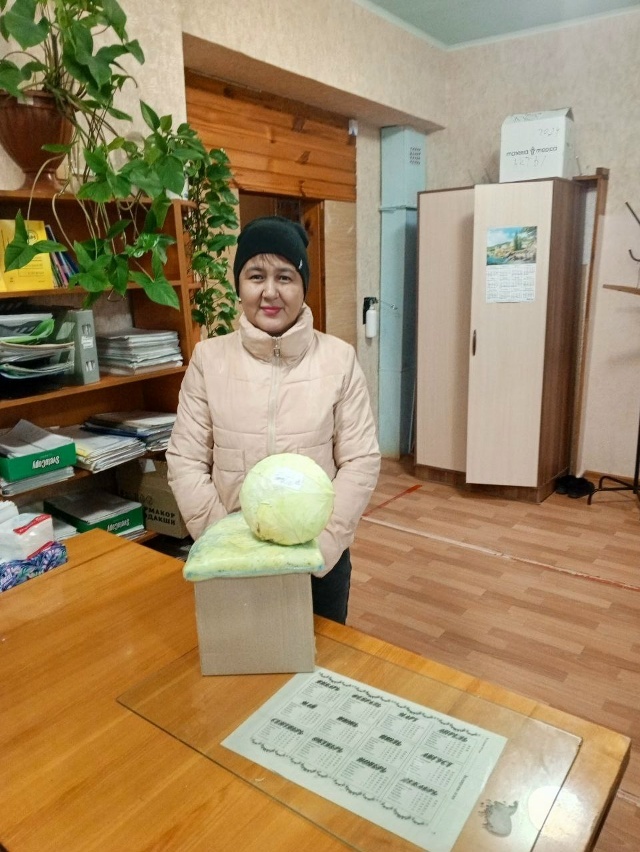 Вместе сильнее: вклад волонтеров в общее дело