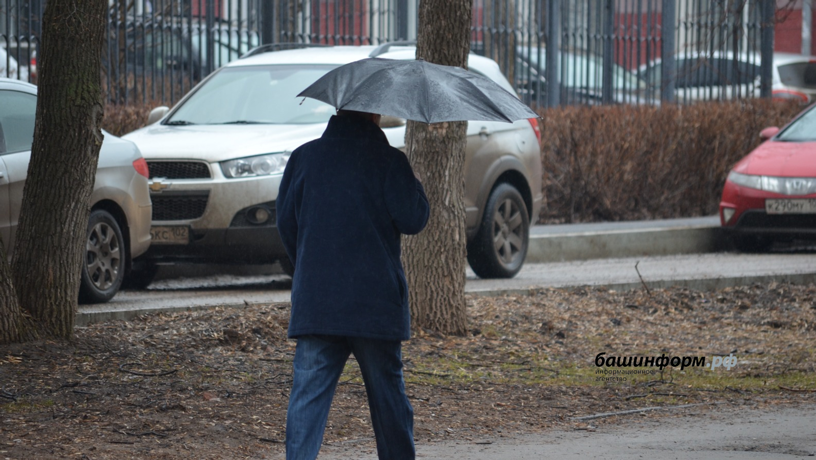 Жителей Башкирии предупредили о похолодании и ливнях