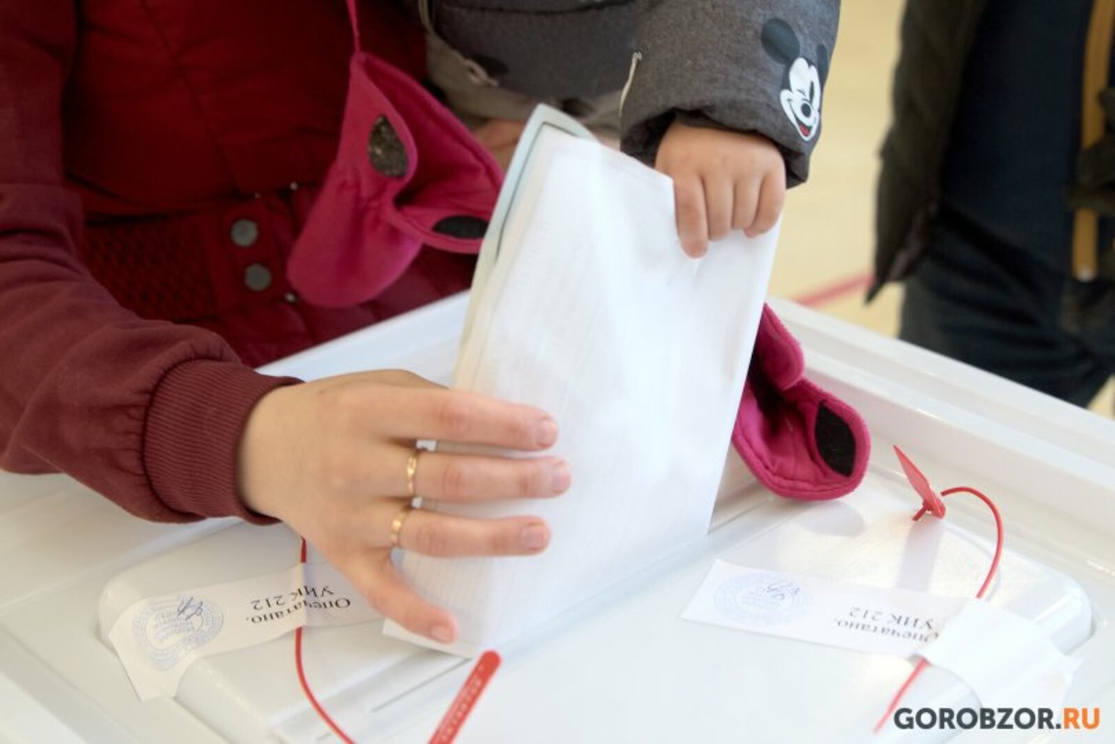 За два дня выборов президента РФ явка в Башкирии составила 64,82%