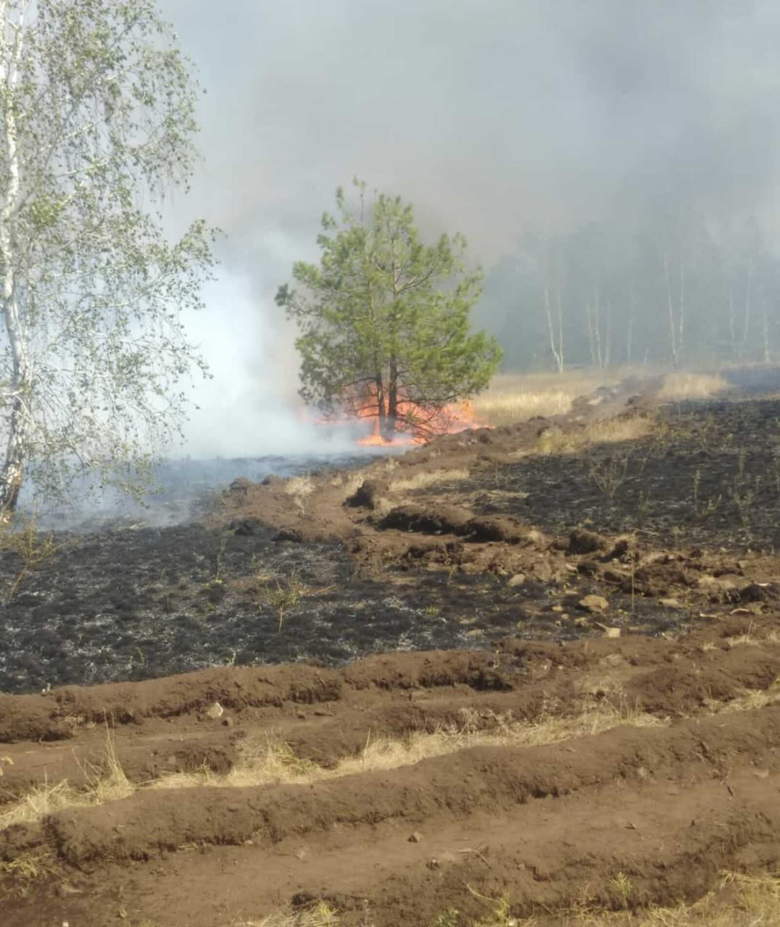 Оперативная информация о пожарах в Башкирии