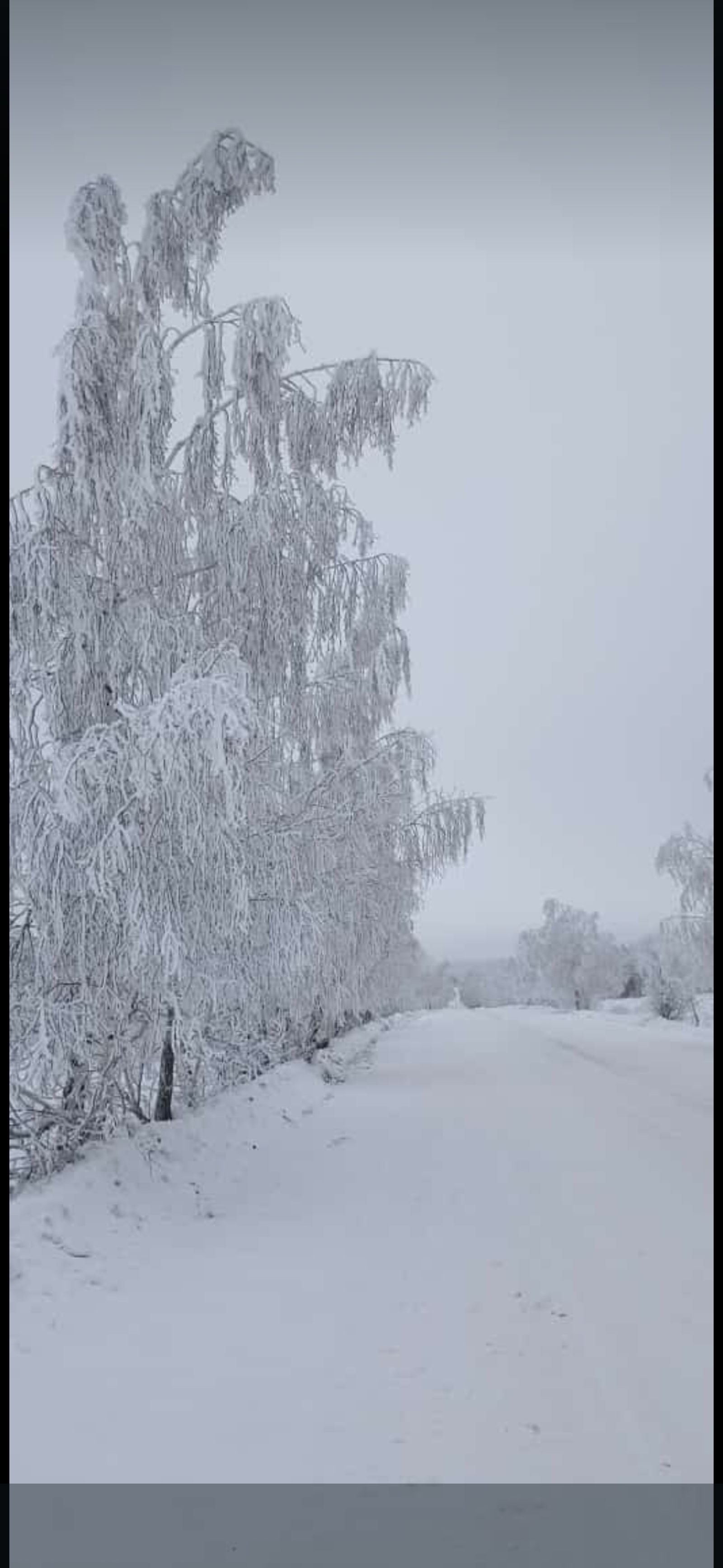 28 января по республике прогнозируются неблагоприятные метеорологические явления