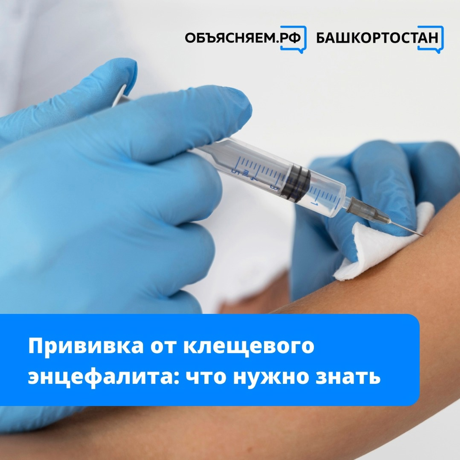 Что нужно знать о прививке от клещевого энцефалита