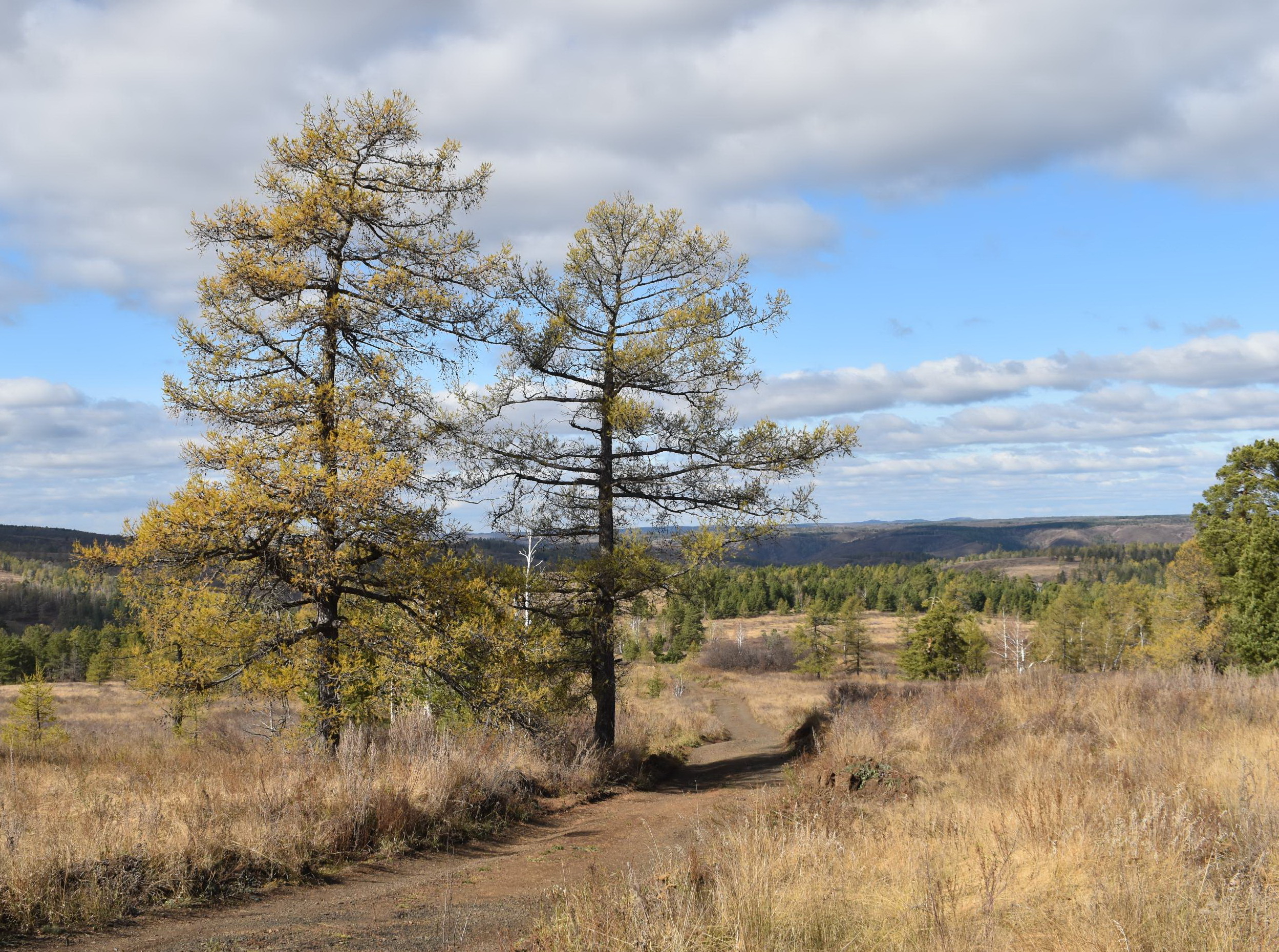 Увековечивание памяти поэта В.В.Сорокина