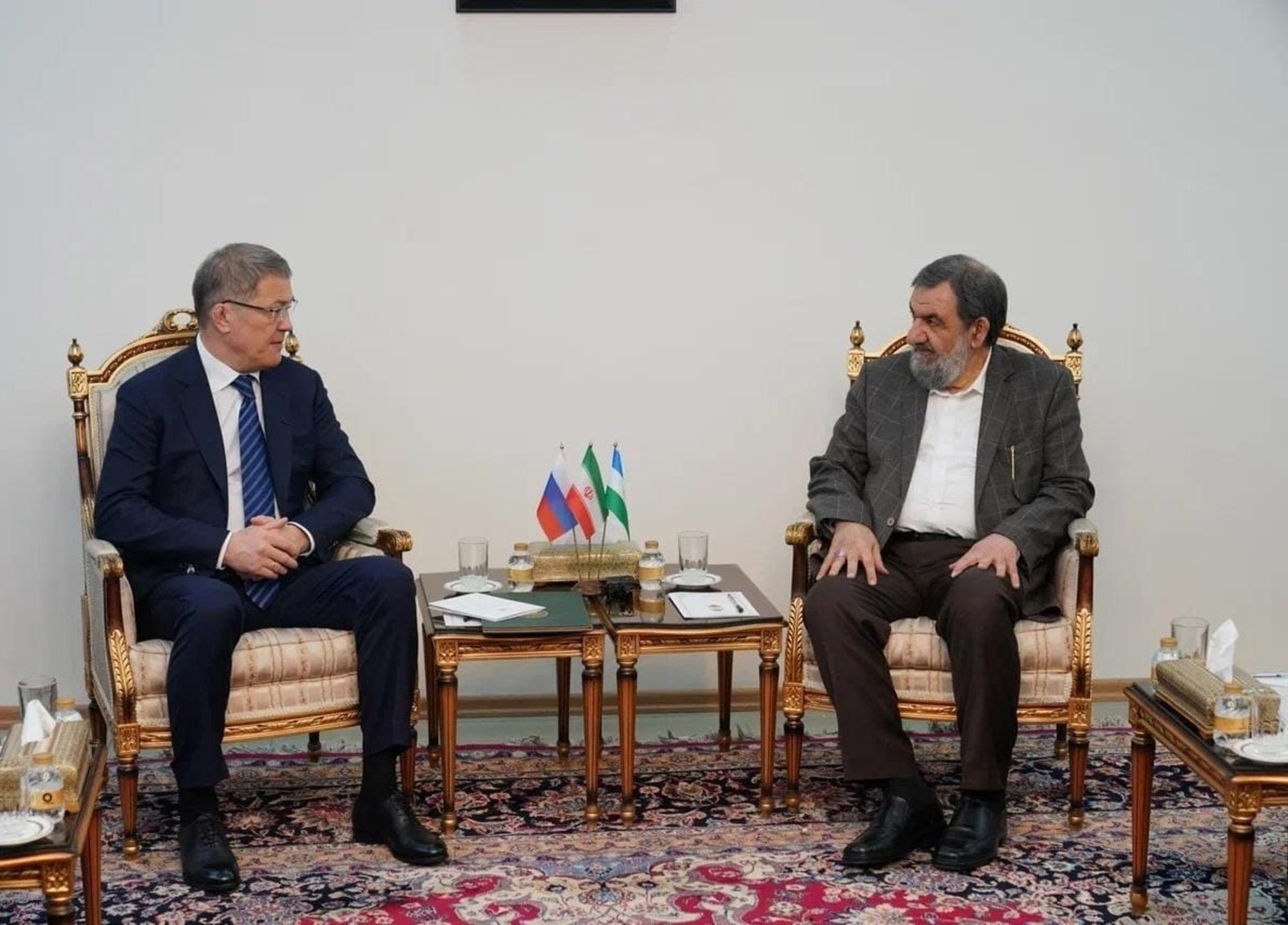 Встреча Главы Башкирии Радия Хабирова с Вице-президентом Ирана по экономическим вопросам Мохсеном Реза