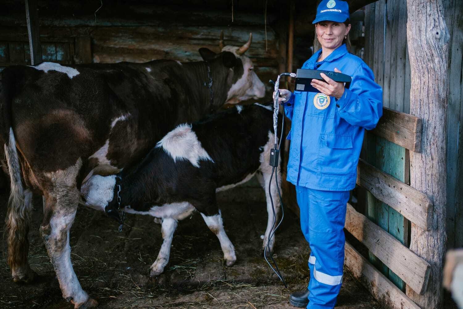 Заботясь о животных, мы защищаем себя и близких