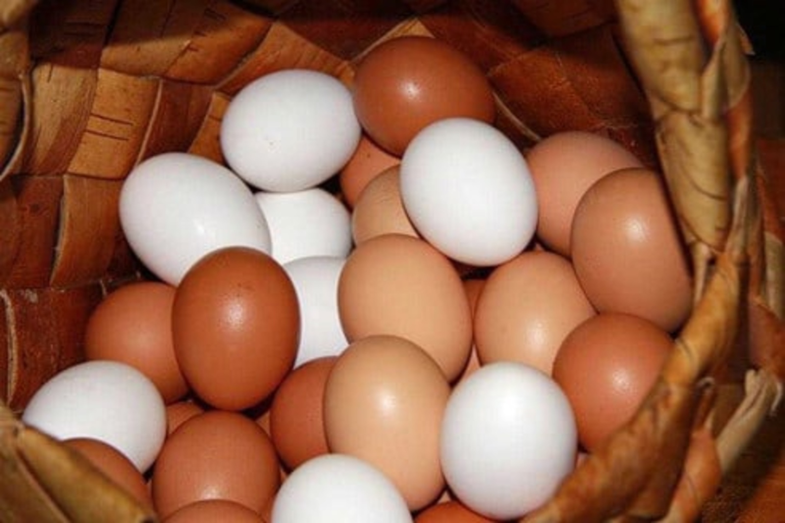Интересные факты о яйцах