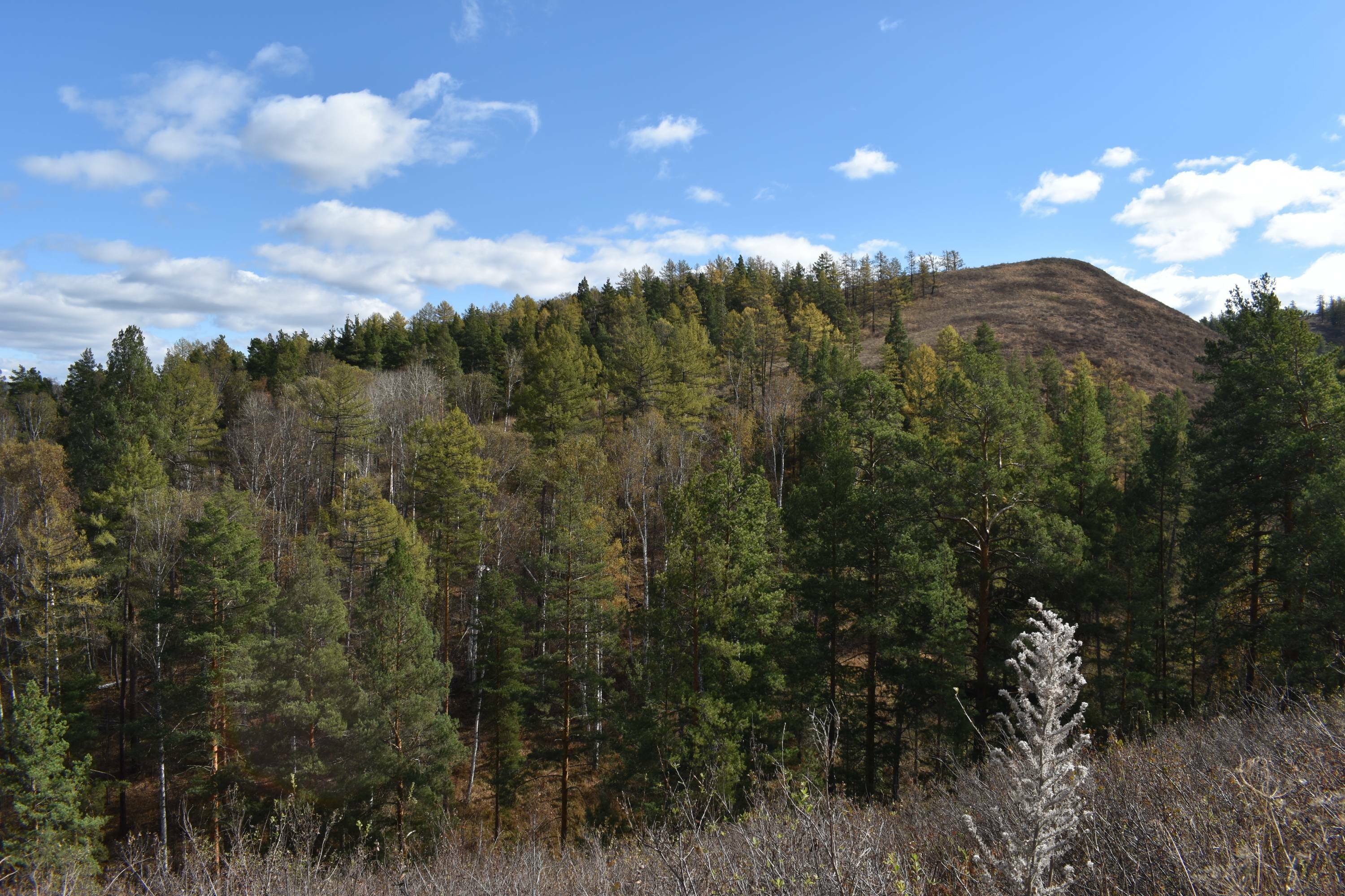 Увековечивание памяти поэта В.В.Сорокина