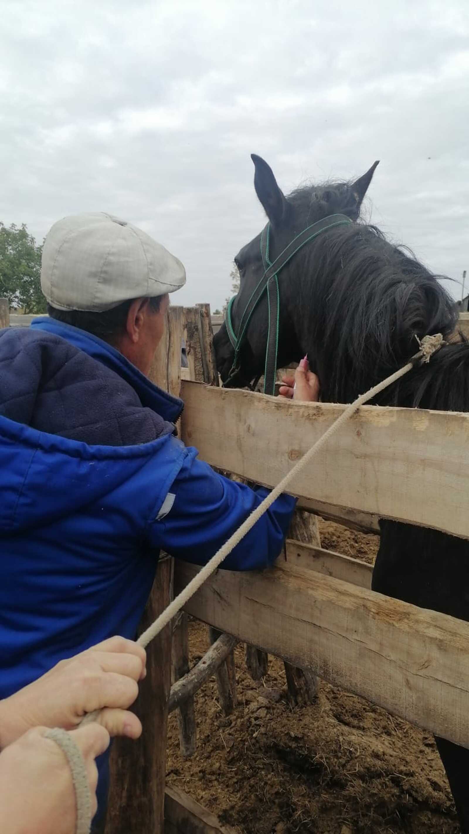 Заботясь о животных, мы защищаем себя и близких