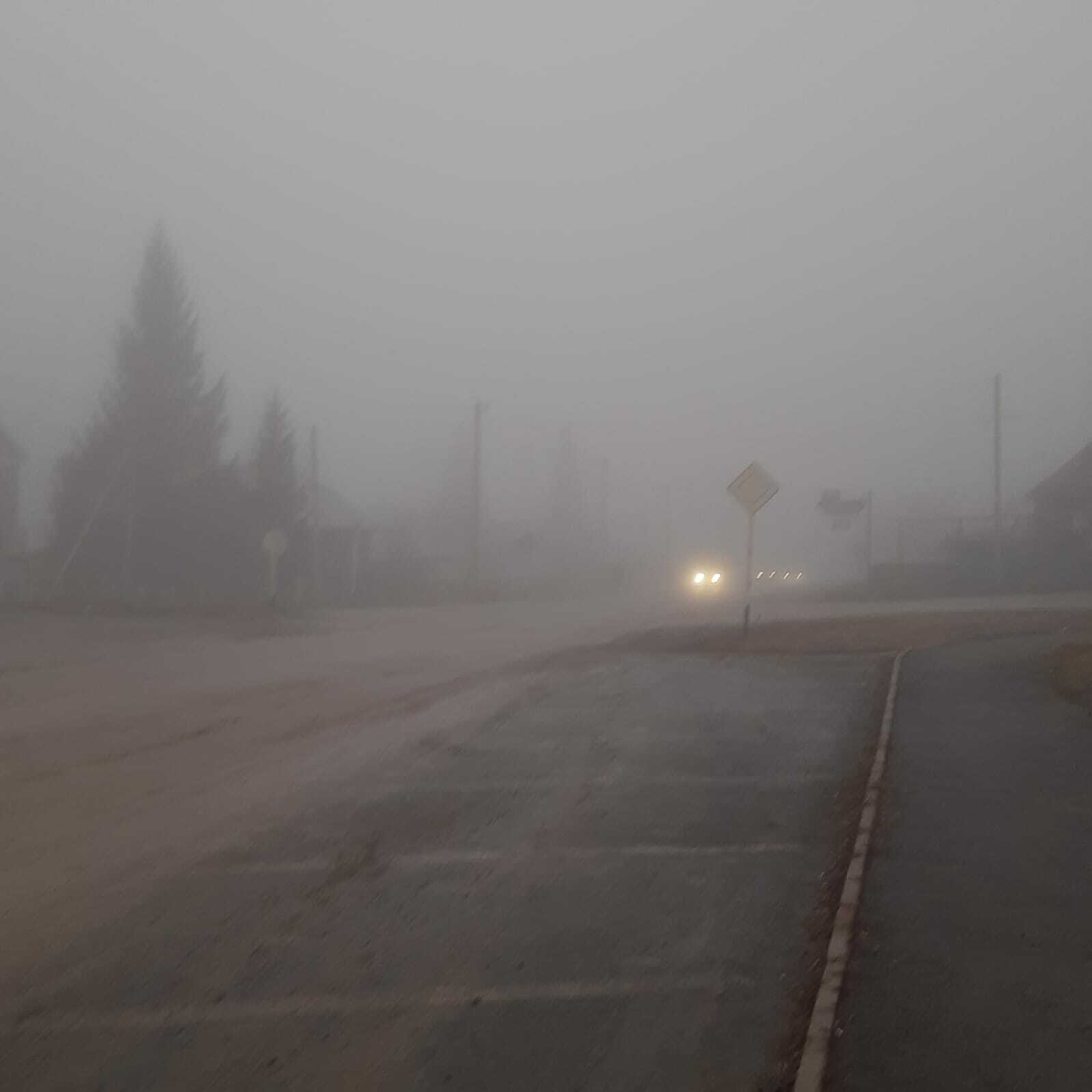 Завтрашний прогноз: что ожидать от погоды?