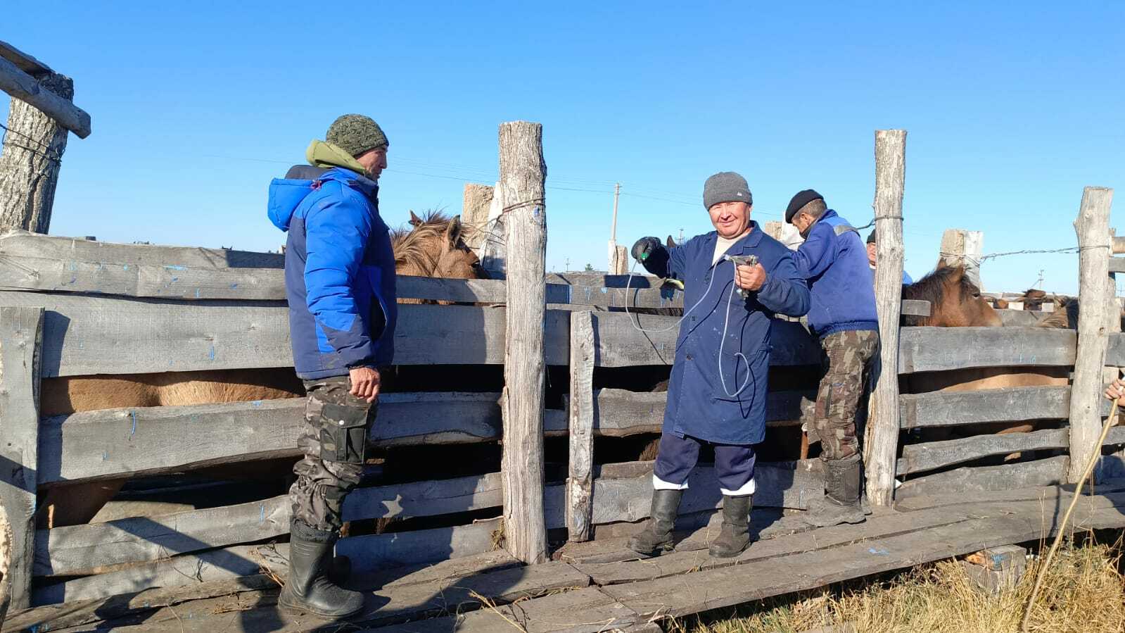 Заботясь о животных, мы защищаем себя и близких
