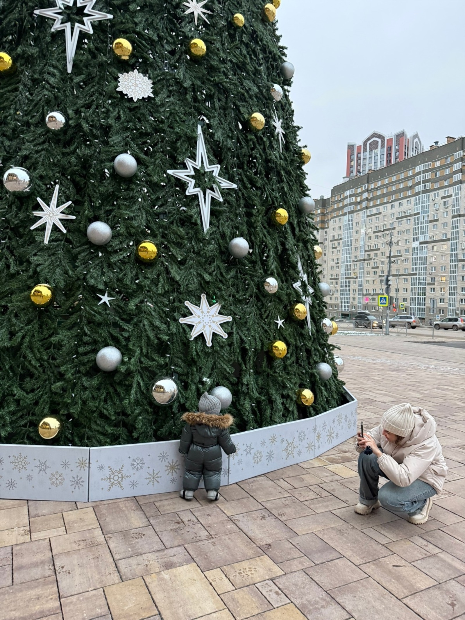 Спасатели из Башкортостана рассказали правила установки новогодней ели
