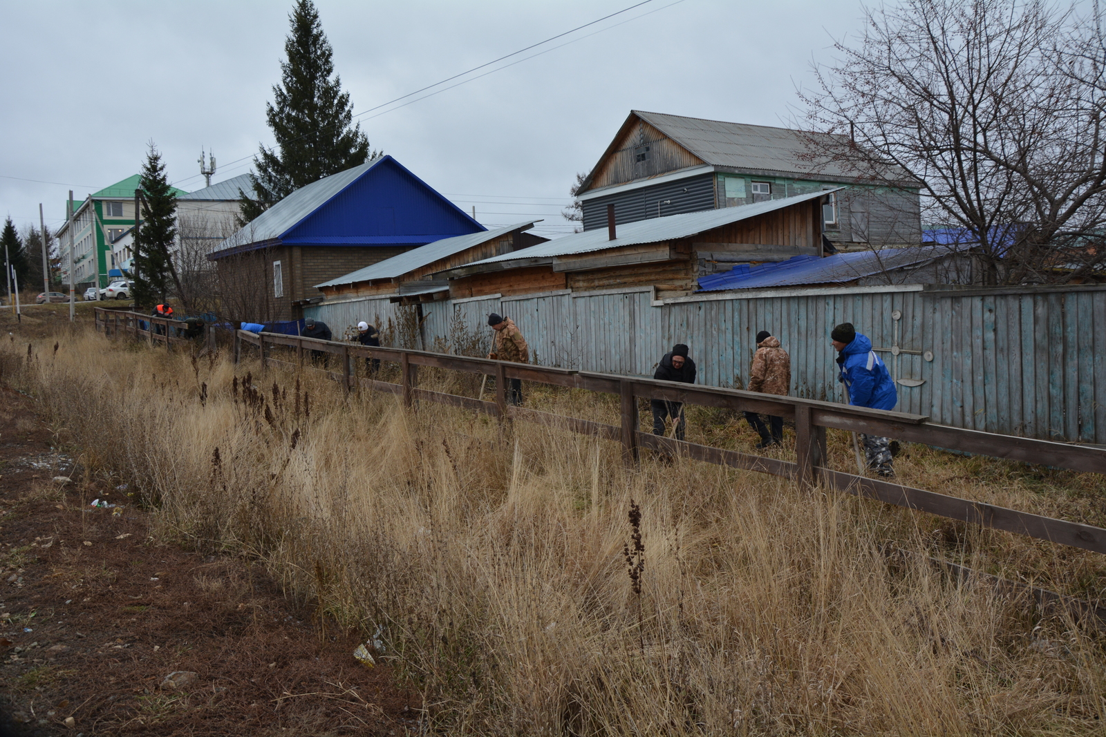 Растите, ёлочки, растите…