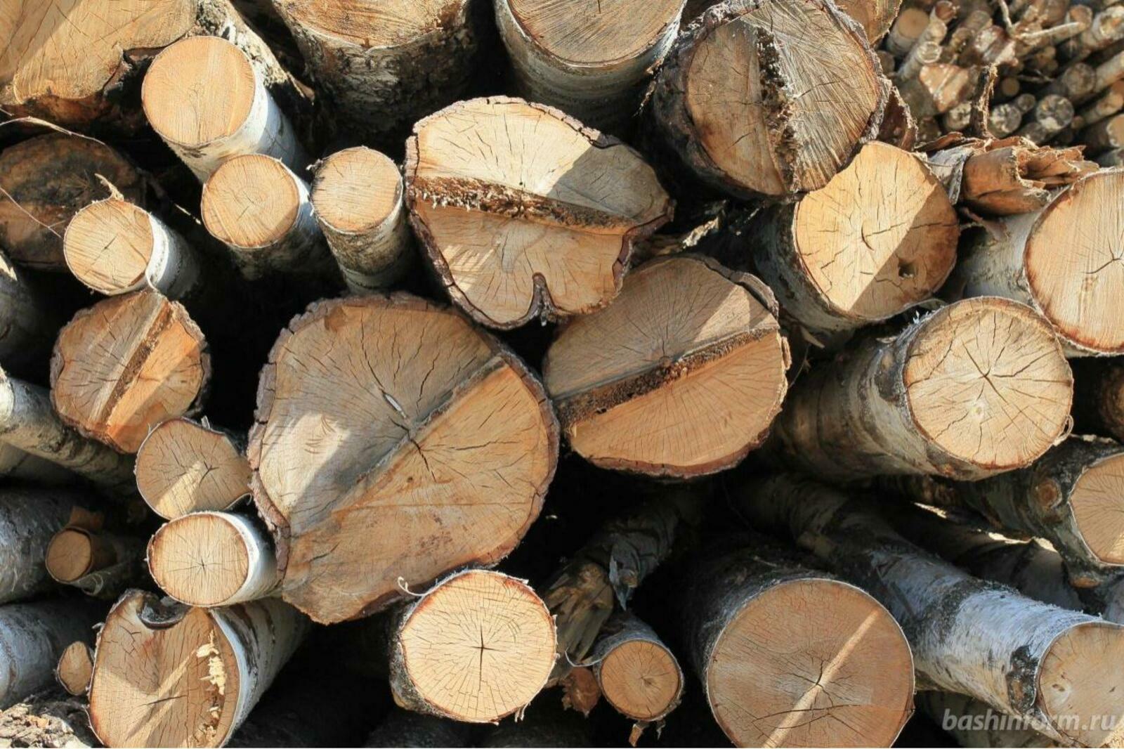 Кто в Башкирии может получить древесину для собственных нужд