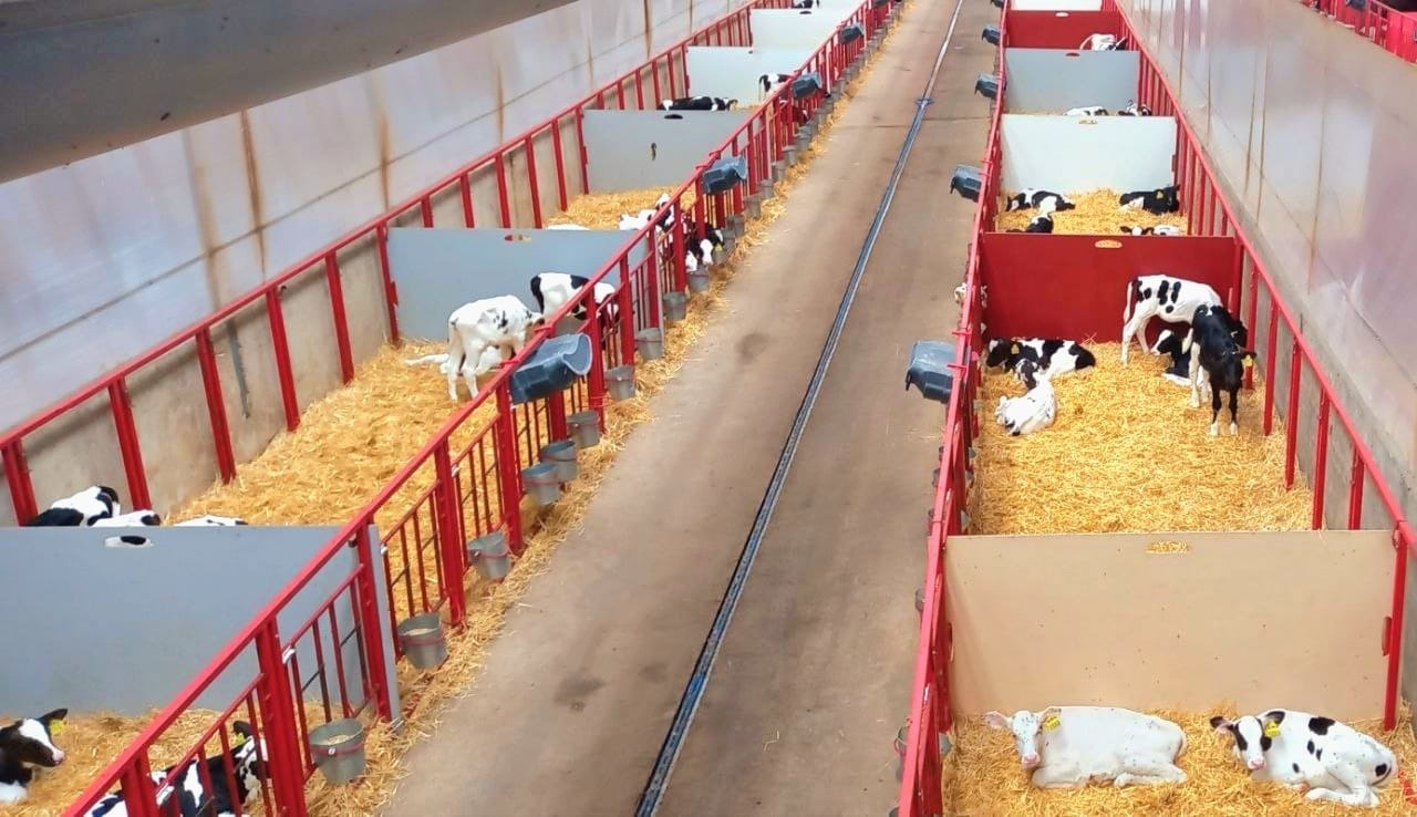 200 тонн молока в сутки произвели животноводы Чекмагушевского района Башкирии