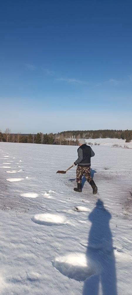 Подготовка к весеннему лесокультурному сезону