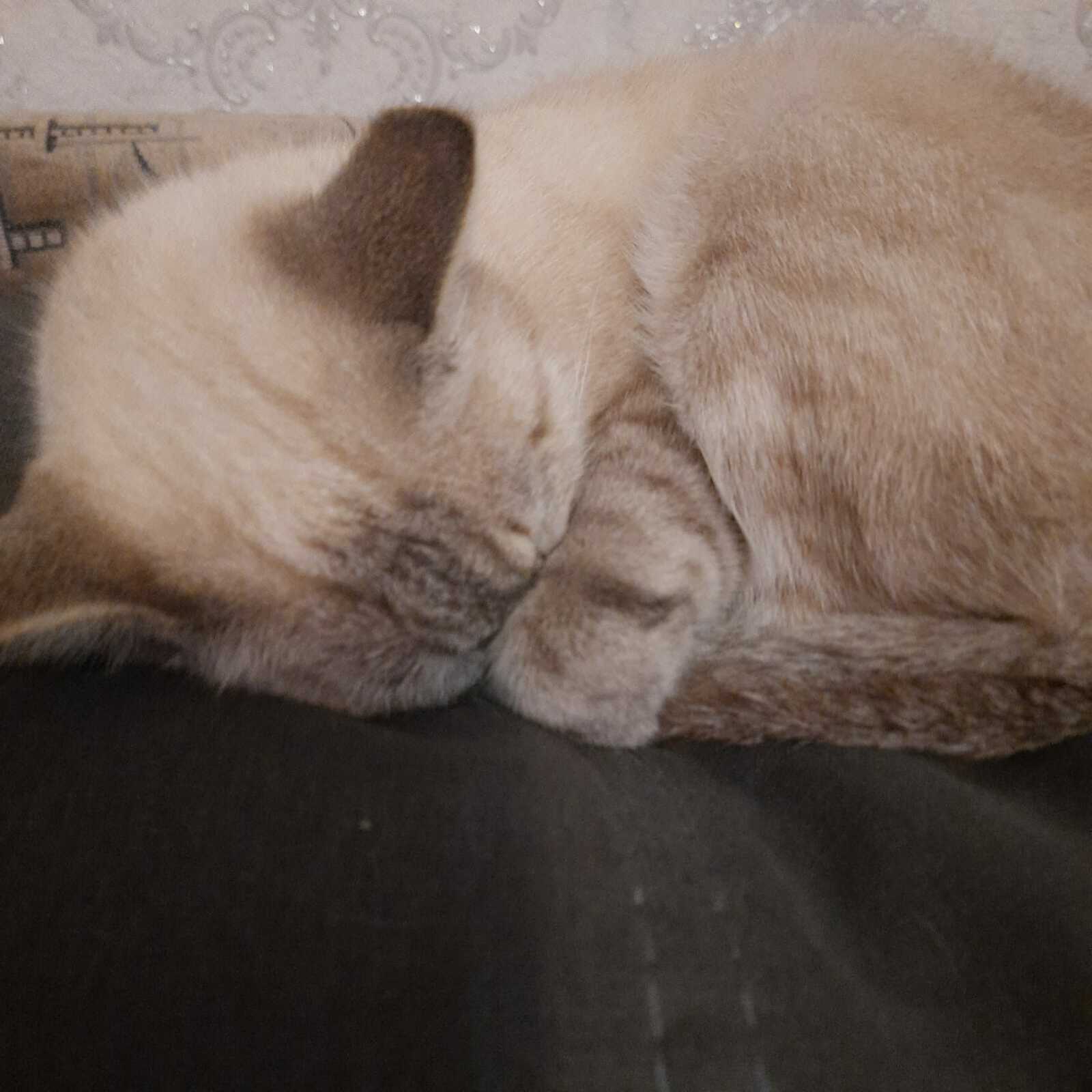 Прогноз погоды на 6 ноября