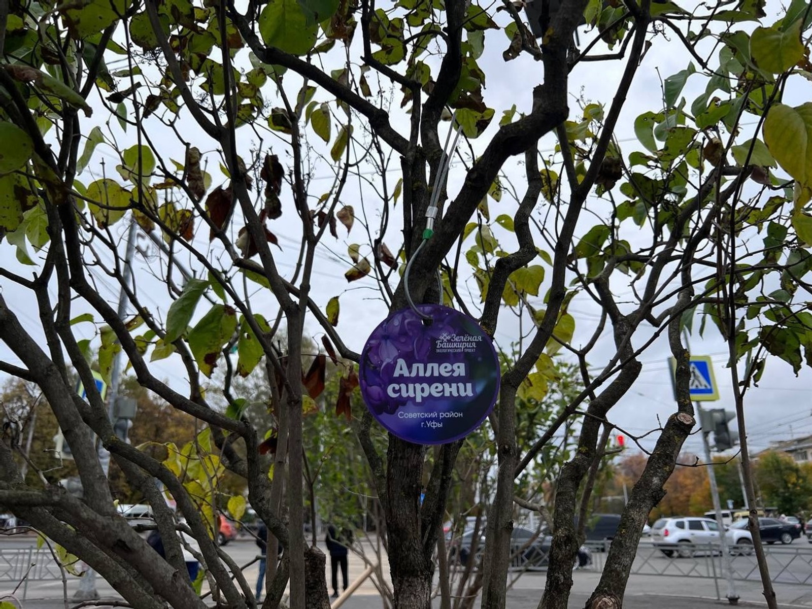 Глава Башкирии поручил создавать города-сады 21 века