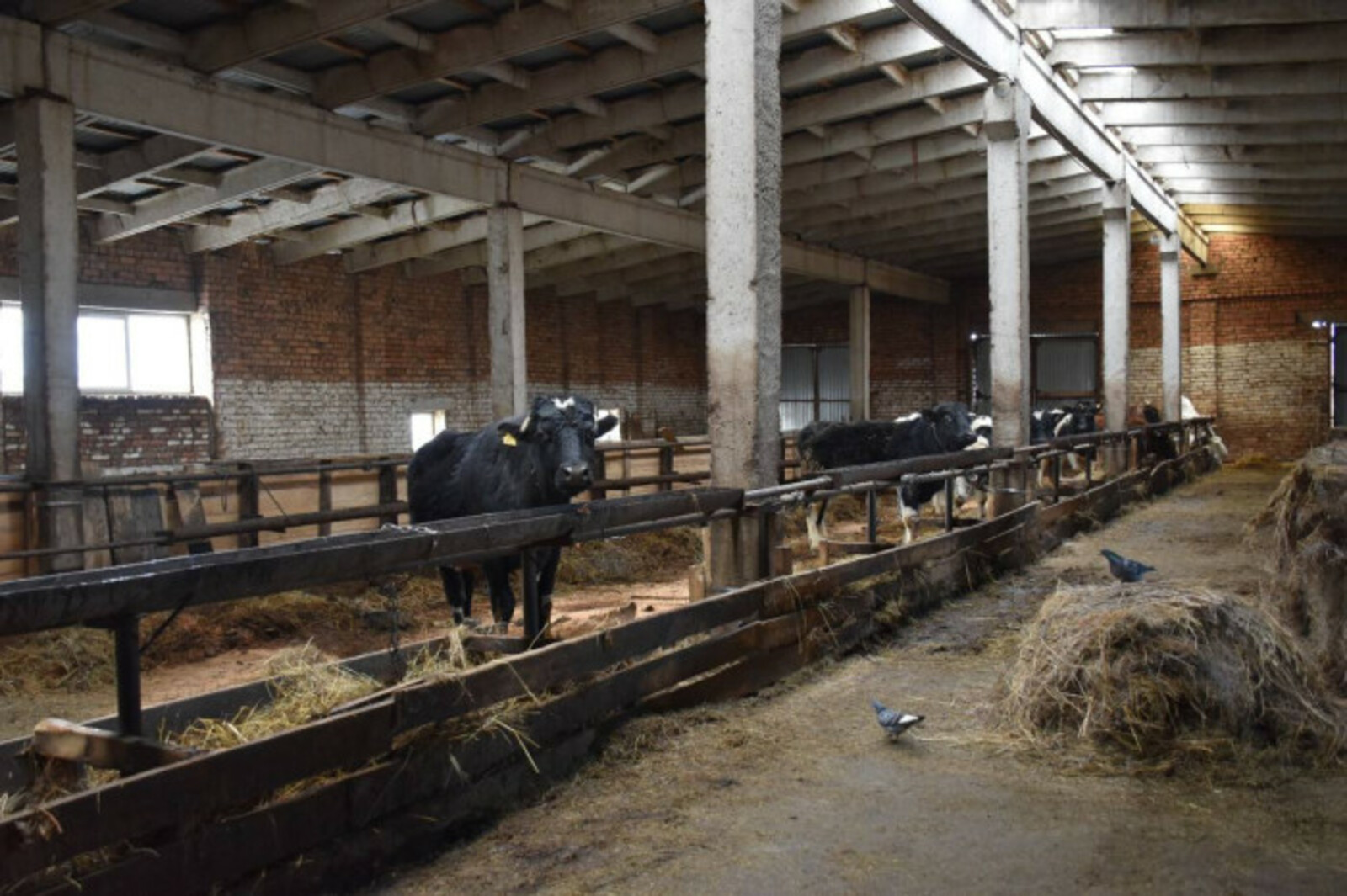 Фермер в Башкирии получил субсидию для развития хозяйства