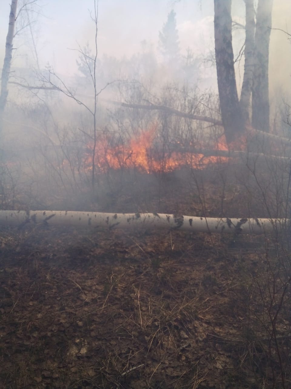 В районах Башкирии прогнозируется 4 класс пожарной опасности