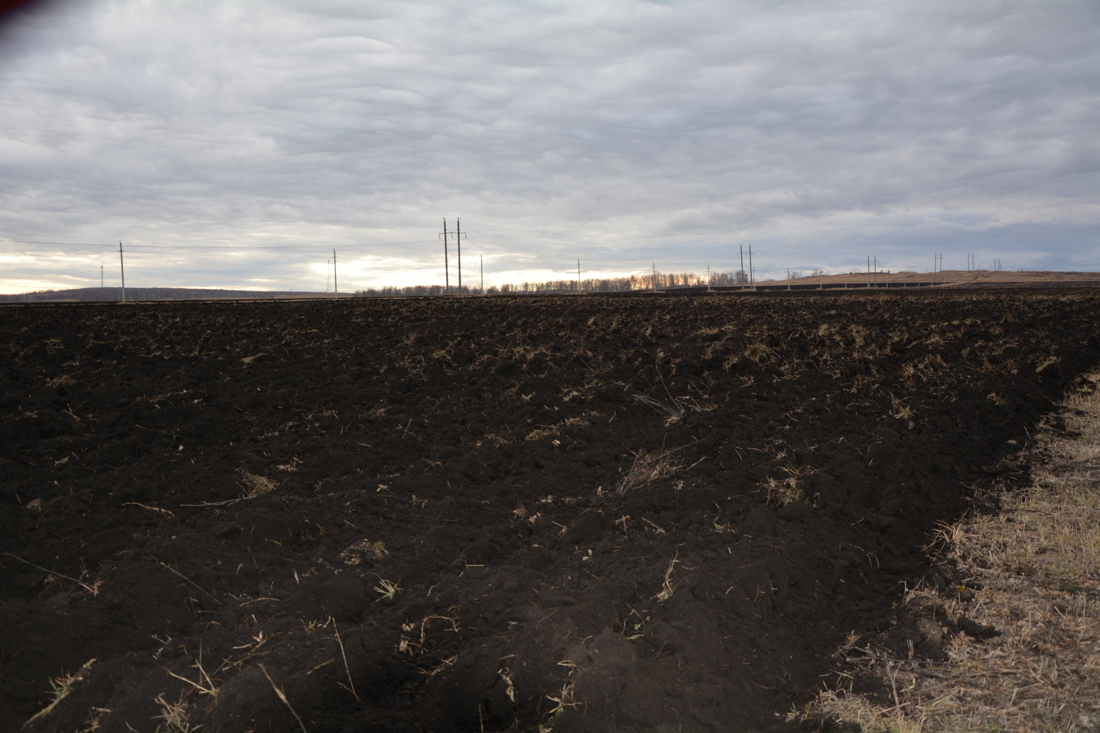 Вспашка зяби – основа будущего урожая