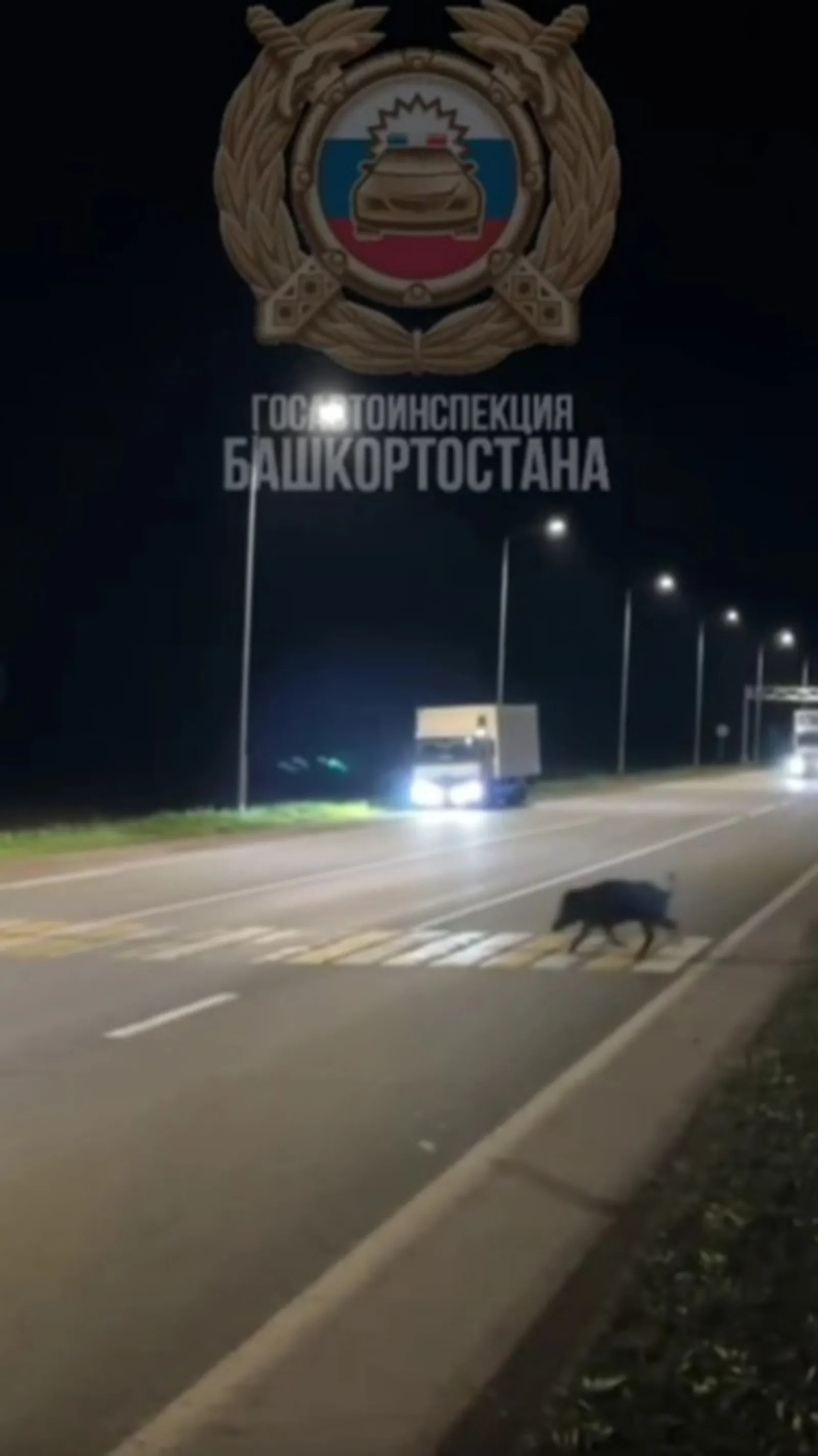 Кабаниная дисциплина