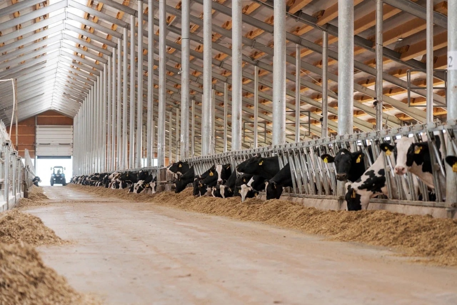 Завершение строительства крупнейшего проекта в сфере молочного животноводства «Семено-Макарово» в Ермекеевском районе
