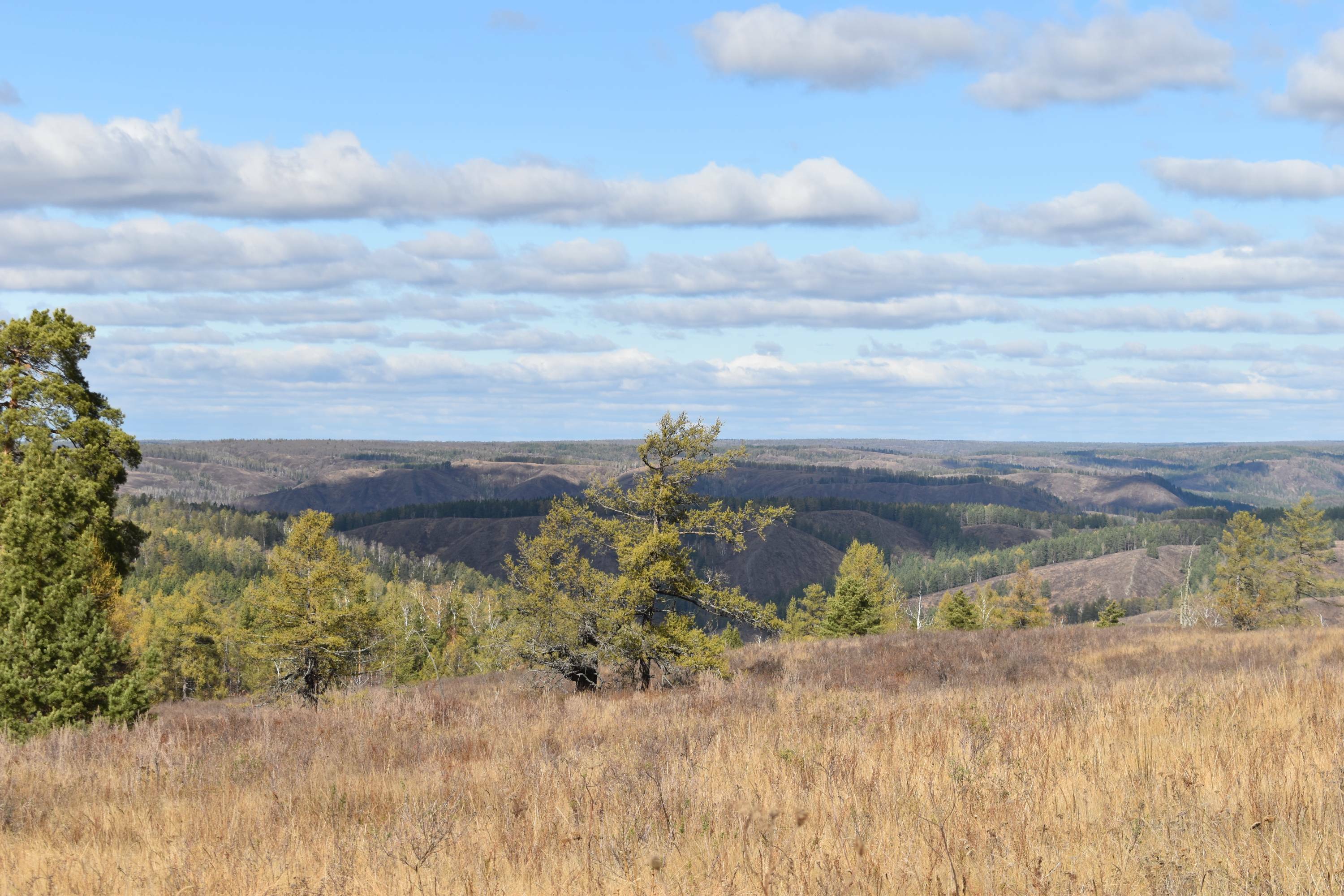 Увековечивание памяти поэта В.В.Сорокина