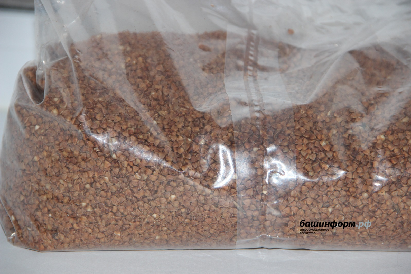 Россия удвоила экспорт гречихи