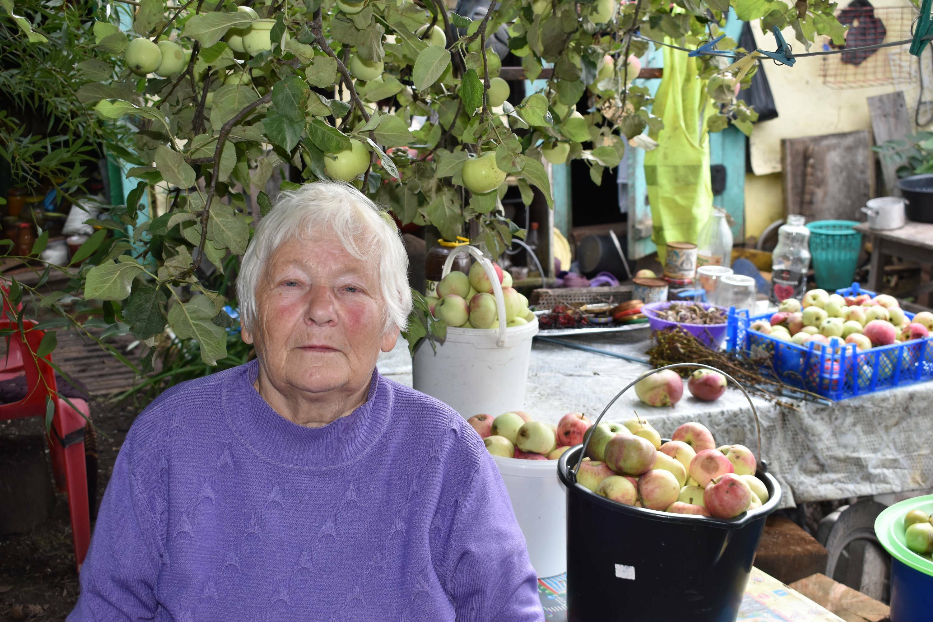 Яблоня - царица сада!