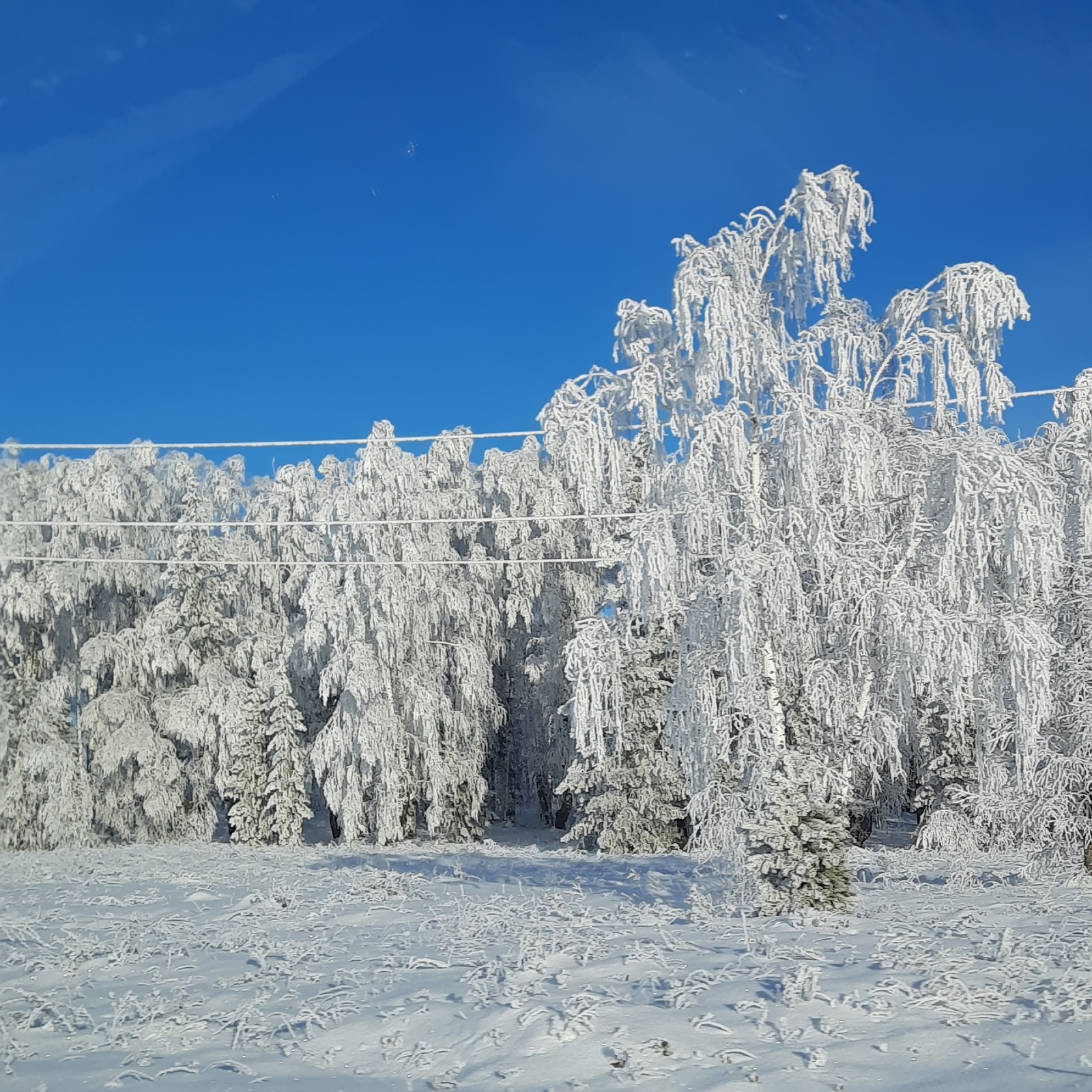В Башкирии грядут морозы