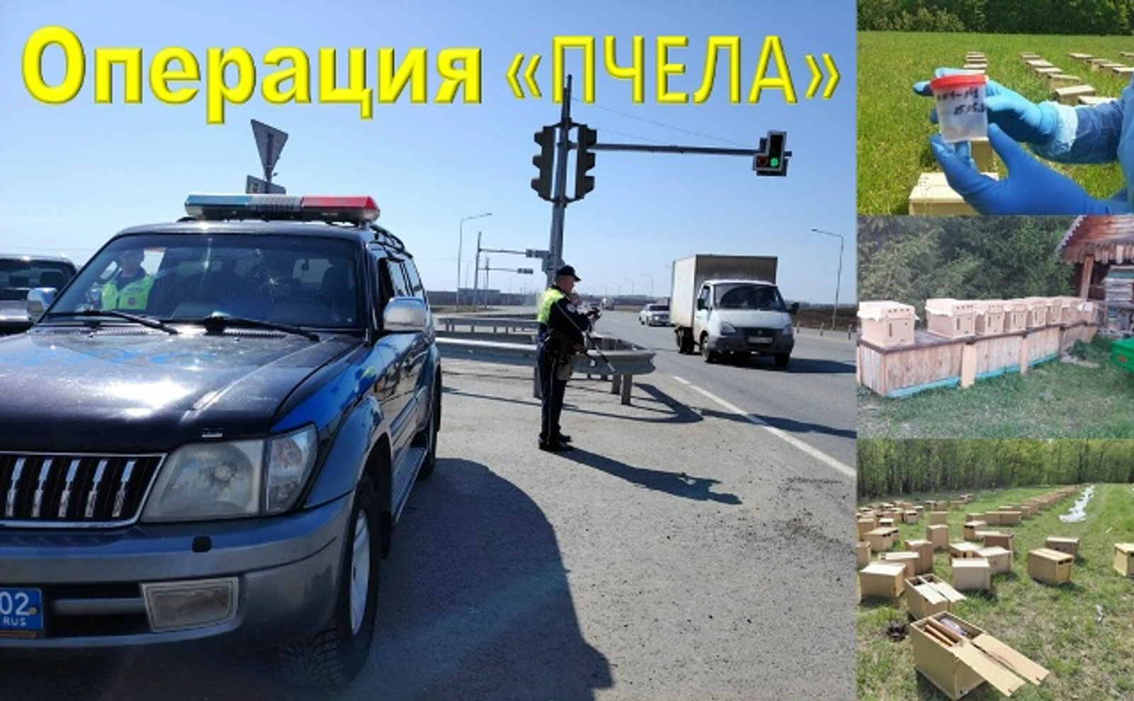 Операция "Пчела"