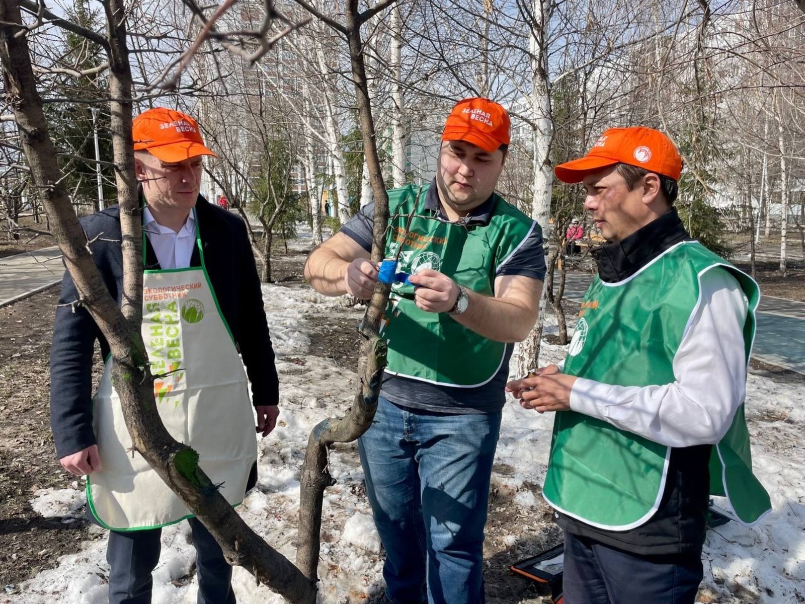 В Республике Башкортостан учёные проводят уникальный эксперимент в уфимском парке