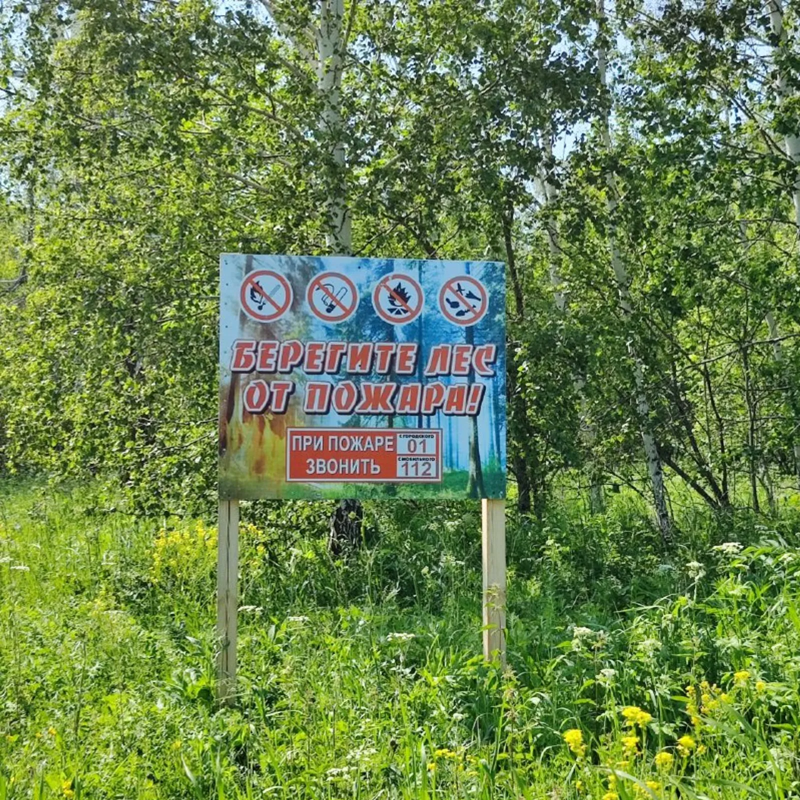 Берегите лес: будьте аккуратны и предотвращайте пожары!