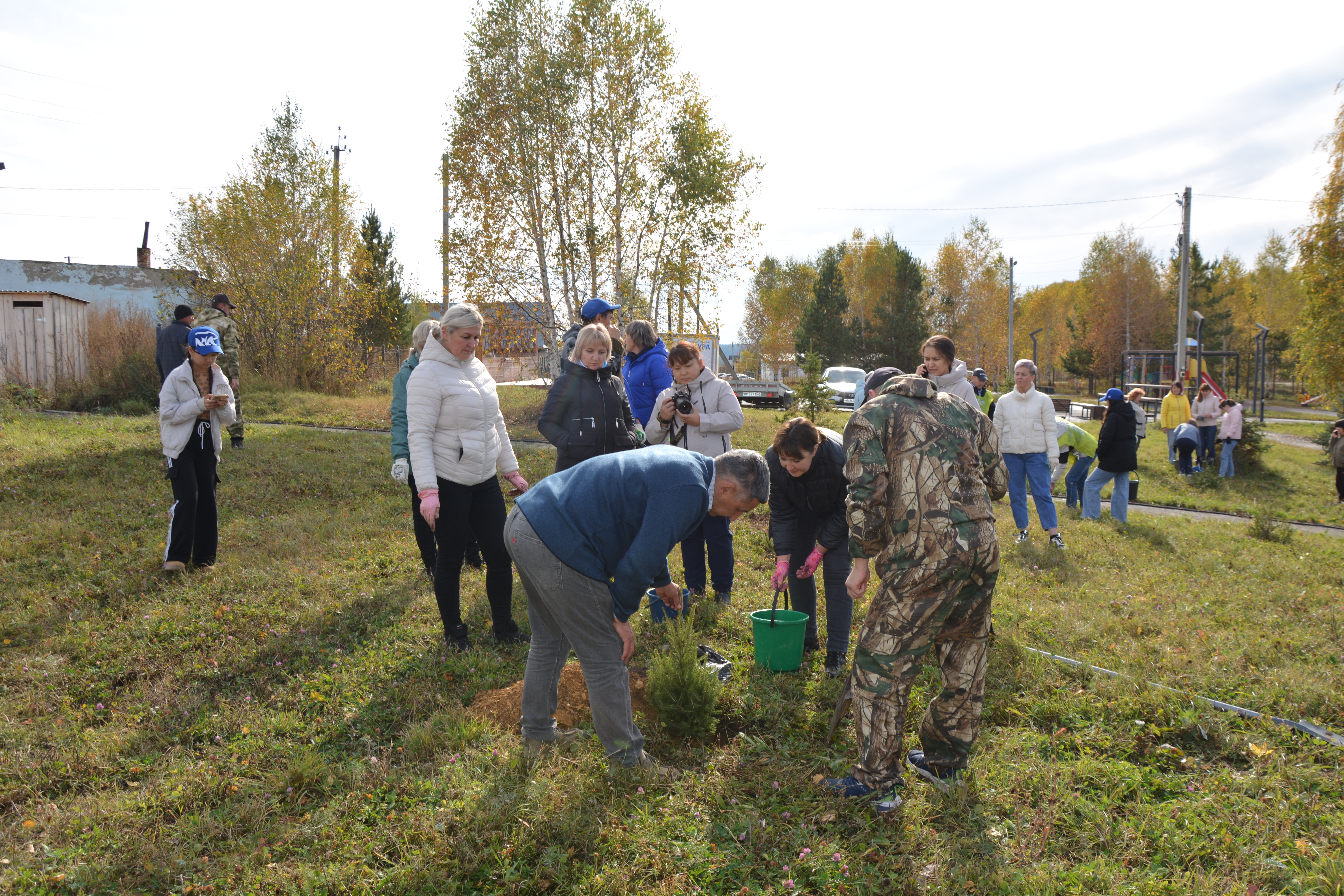 Приживайтесь деревца, мы еще посадим!