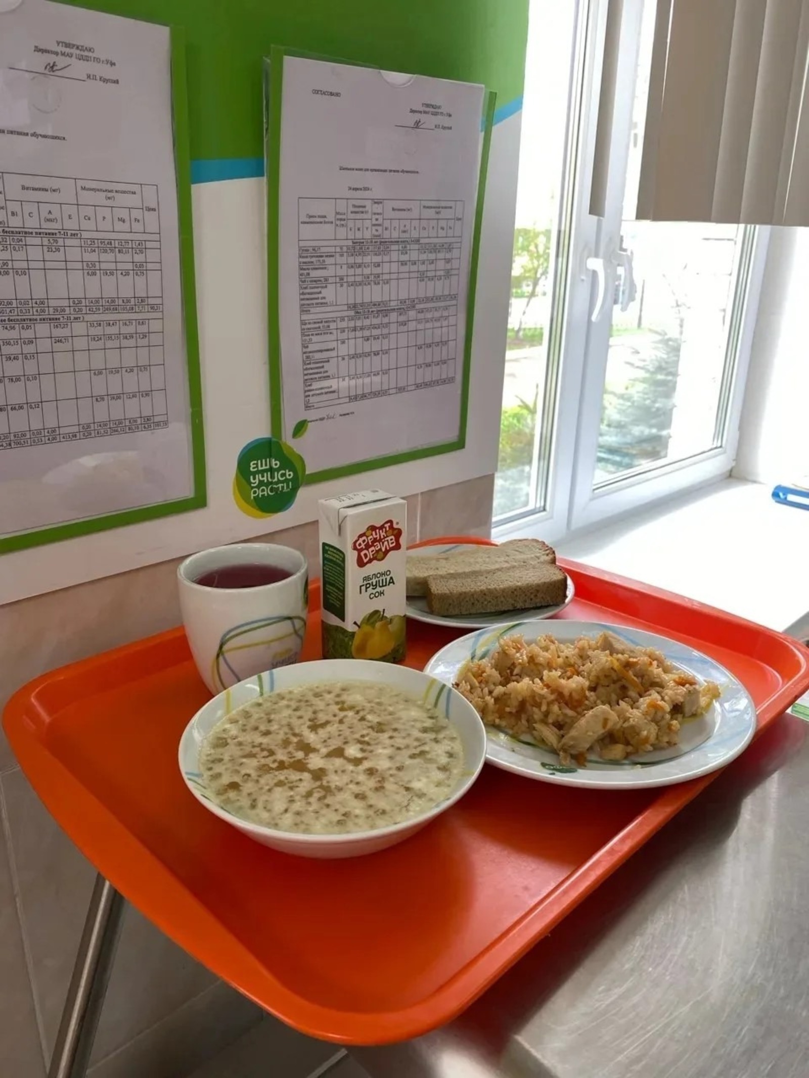 Общественная палата Башкирии запустила опрос среди родителей учеников