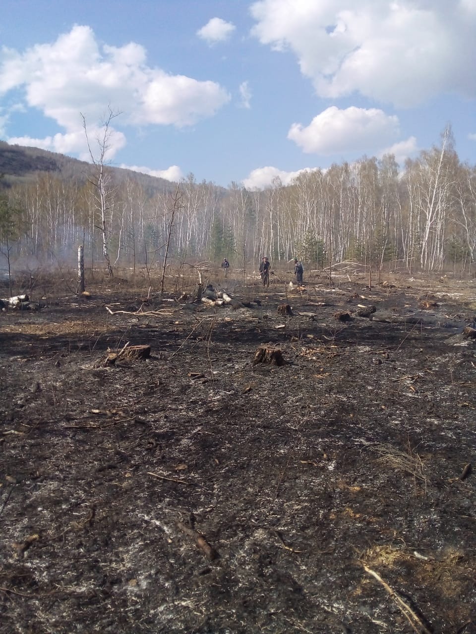 В районах Башкирии прогнозируется 4 класс пожарной опасности