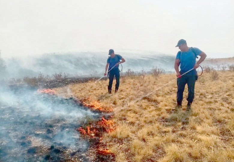 Радий Хабиров разъяснил ситуацию с лесных пожаров, почему не тушат с воздуха
