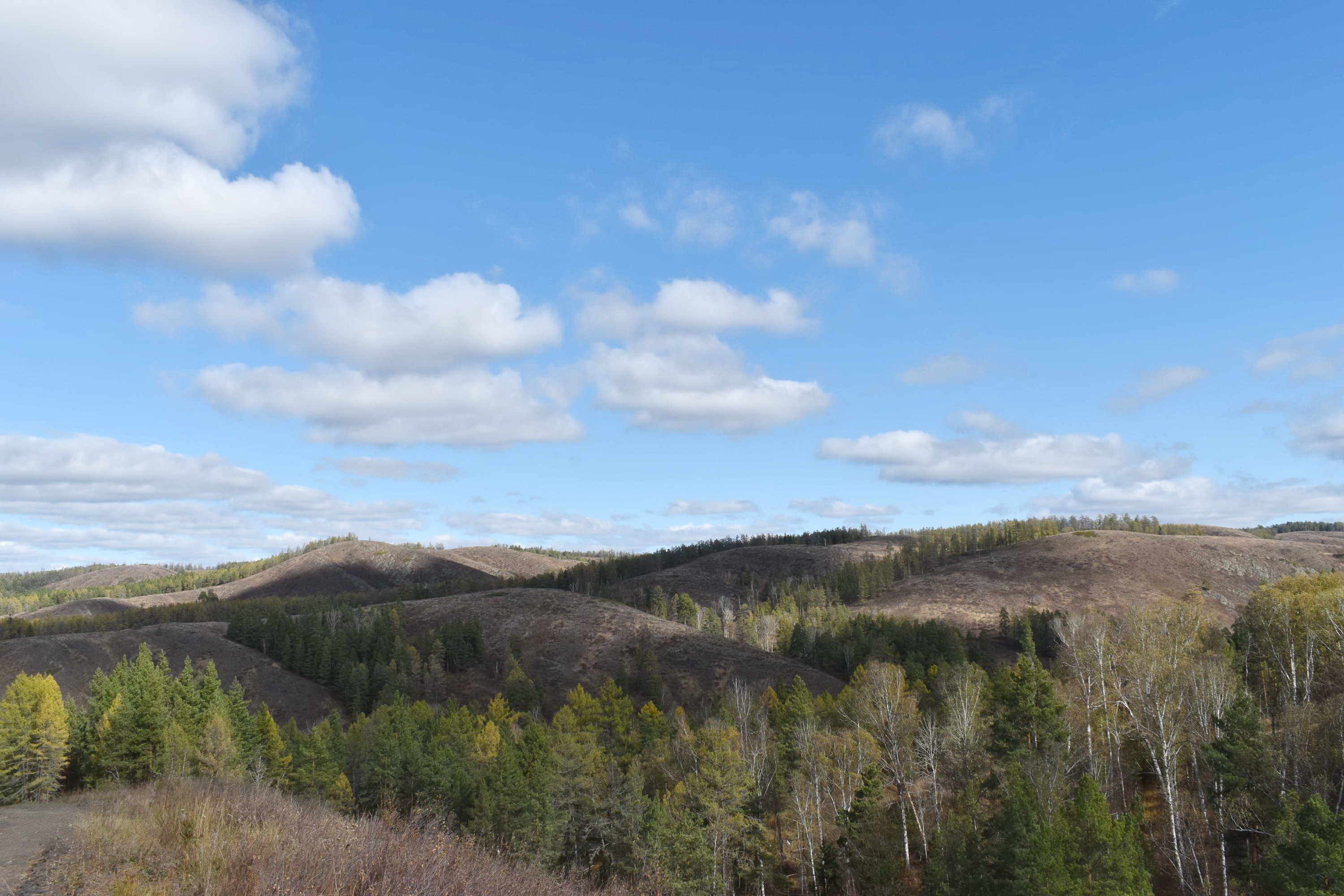 Увековечивание памяти поэта В.В.Сорокина
