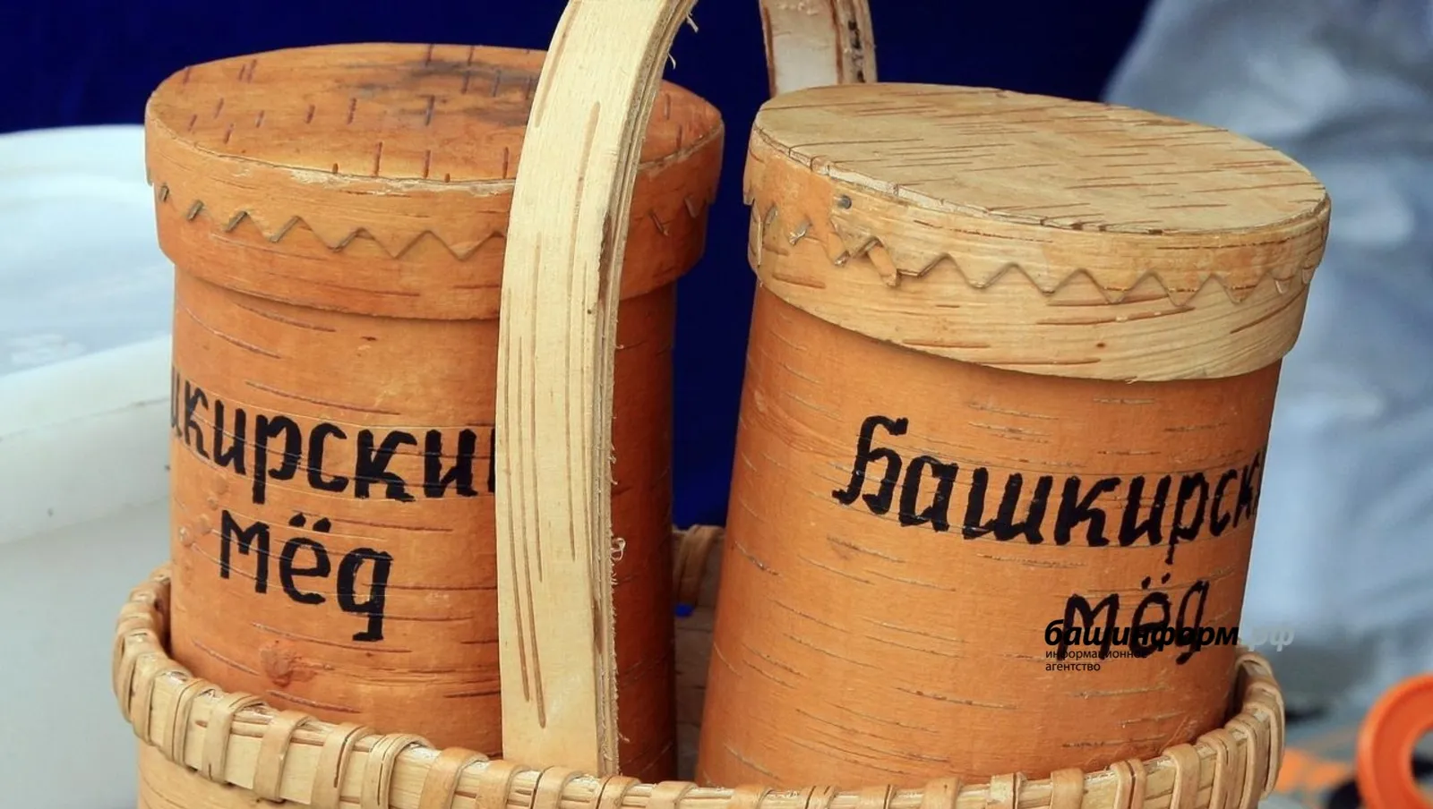 Глава Башкирии рассказал о мерах поддержки «медовой» отрасли
